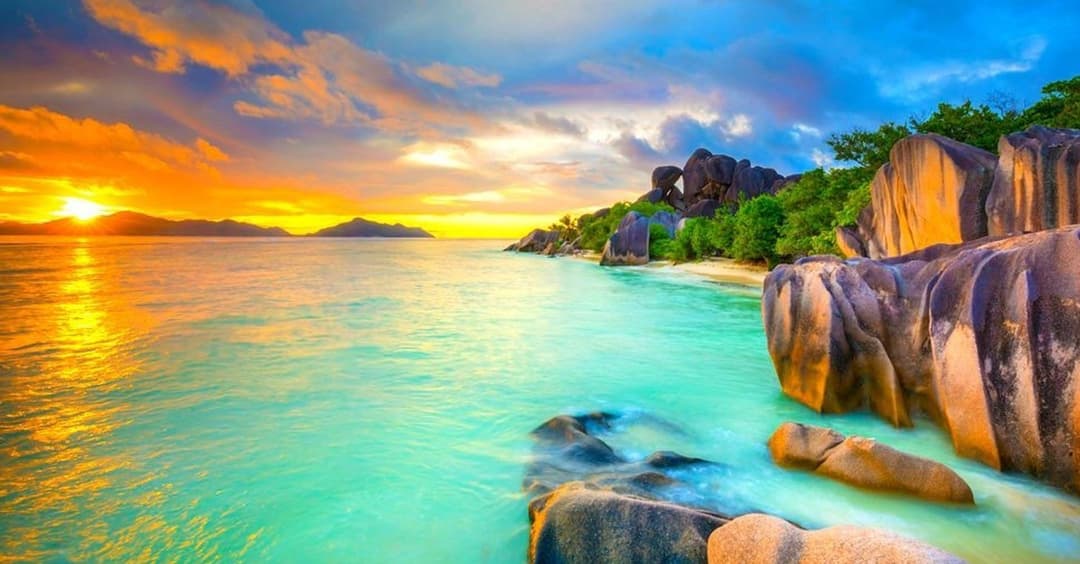 Sustainability and You